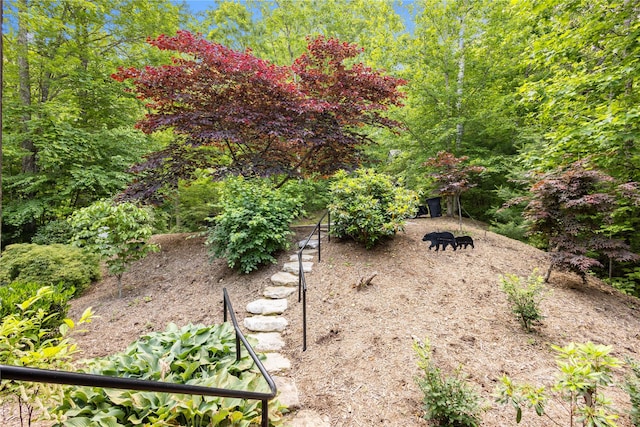 172 Juneberry Ln, Tuckasegee, NC 28783 - view of yard