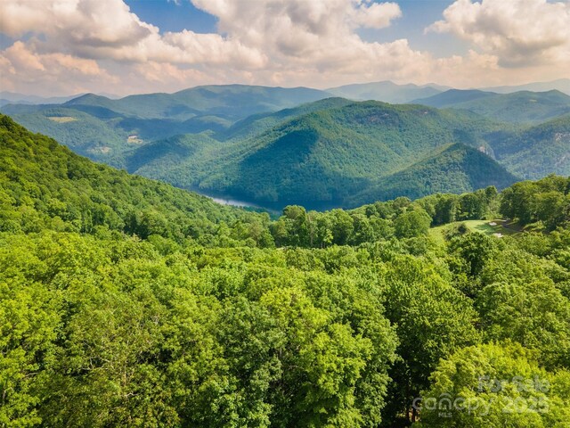 627 Steeplebush Ct, Tuckasegee, NC 28783 - photo 1