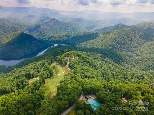 627 Steeplebush Ct, Tuckasegee, NC 28783