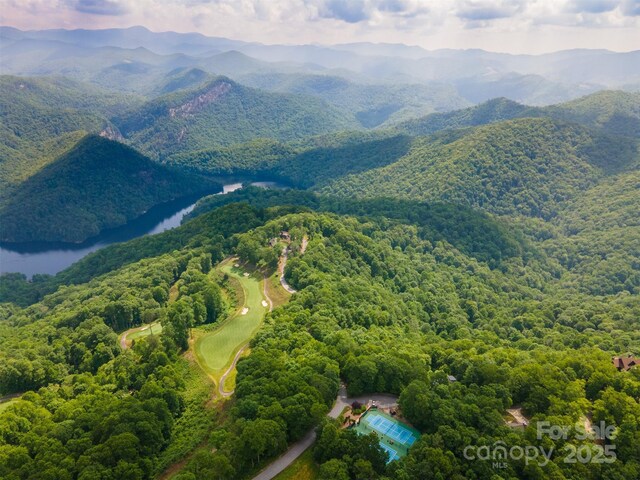 627 Steeplebush Ct, Tuckasegee, NC 28783 - photo 3