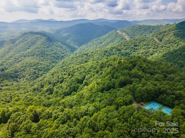 627 Steeplebush Ct, Tuckasegee, NC 28783