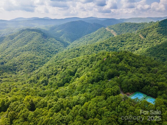 627 Steeplebush Ct, Tuckasegee, NC 28783 - photo 4
