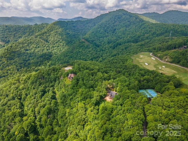 627 Steeplebush Ct, Tuckasegee, NC 28783