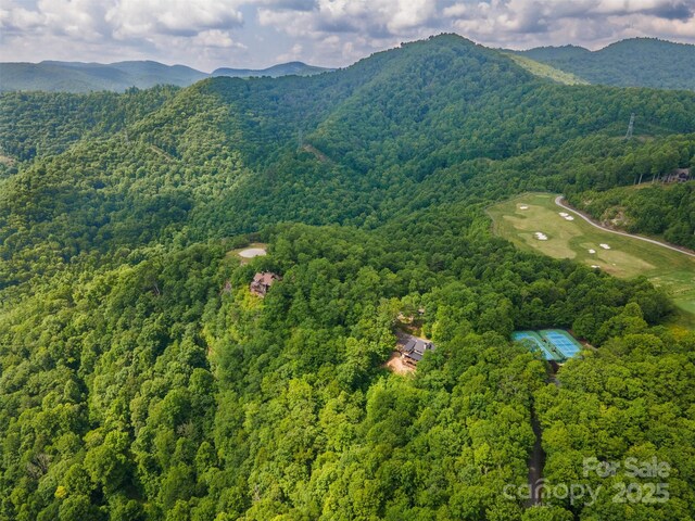 627 Steeplebush Ct, Tuckasegee, NC 28783 - photo 5