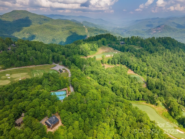 627 Steeplebush Ct, Tuckasegee, NC 28783