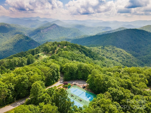 627 Steeplebush Ct, Tuckasegee, NC 28783