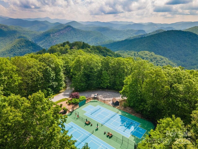 627 Steeplebush Ct, Tuckasegee, NC 28783 - photo 10