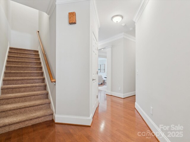 705 Congressional Ln, Fort Mill, SC 29708 - stairs featuring wood finished floors, baseboards, and ornamental molding