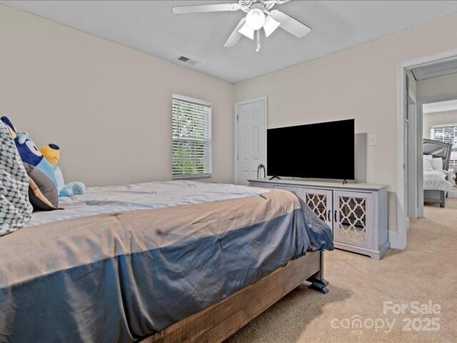 111 Patsy Ln, Cheraw, SC 29520 - photo 21