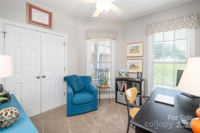 133 Upland Dr, Statesville, NC 28625 - office featuring carpet flooring and ceiling fan