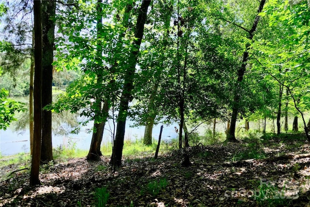 18524 Mainsail Ct, Lancaster, SC 29720