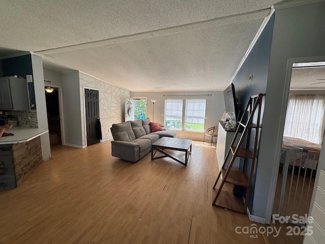 13211 Asbury Chapel Rd, Huntersville, NC 28078 - living area with a textured ceiling, light wood-type flooring, and vaulted ceiling
