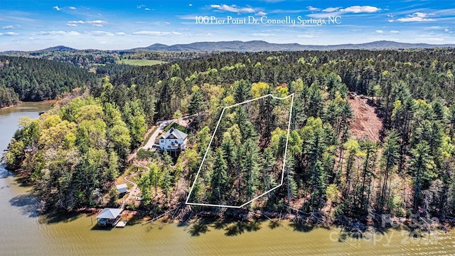 106 Pier Point Dr, Connelly Springs, NC 28612 - photo 1
