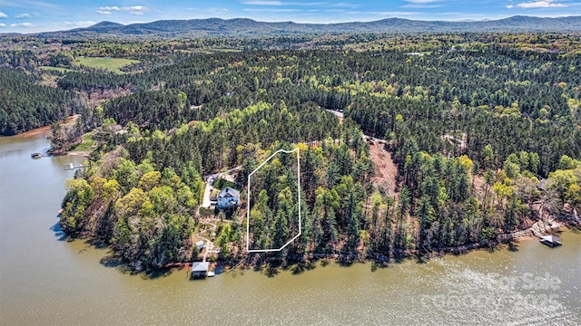 106 Pier Point Dr, Connelly Springs, NC 28612 - photo 6