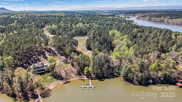 106 Pier Point Dr, Connelly Springs, NC 28612 - photo 10