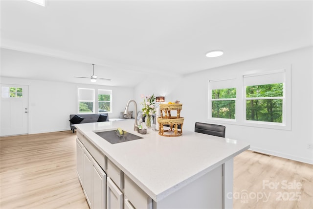 221 Reliance Rd, Kings Mountain, NC 28086 - kitchen with a sink, light countertops, light wood finished floors, and an island with sink