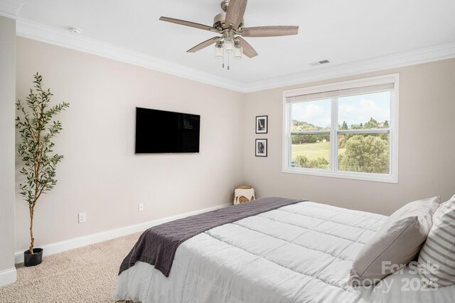 45 Dreambird Dr, Leicester, NC 28748 - photo 16