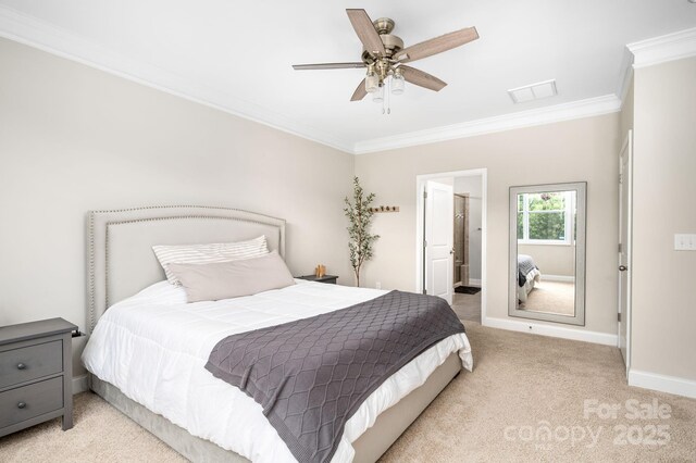 45 Dreambird Dr, Leicester, NC 28748 - photo 17