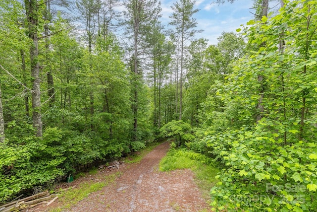 109 Tumblebug Trail Rd, Flat Rock, NC 28731 - view of road featuring a view of trees