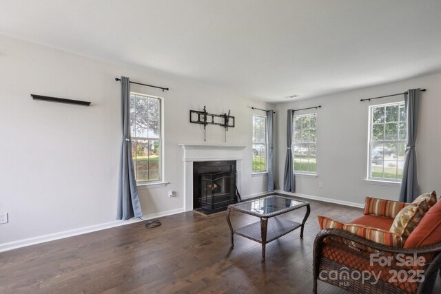 6516 Laurel Springs Ct, Charlotte, NC 28227 - living room featuring a fireplace with flush hearth, wood finished floors, and baseboards