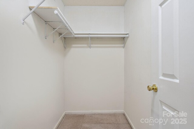 6516 Laurel Springs Ct, Charlotte, NC 28227 - walk in closet featuring carpet