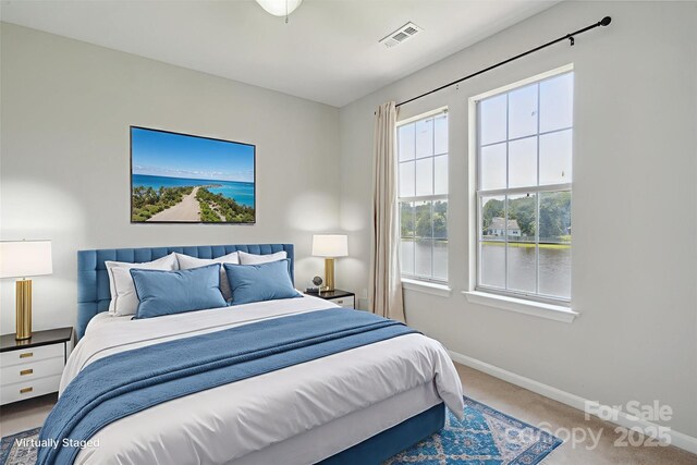 6516 Laurel Springs Ct, Charlotte, NC 28227 - bedroom with carpet flooring and baseboards