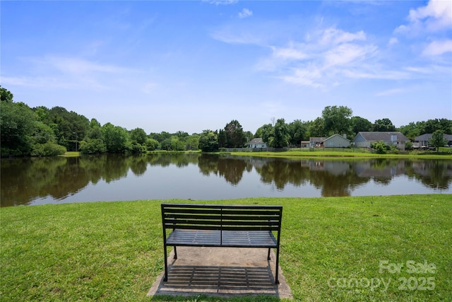 6516 Laurel Springs Ct, Charlotte, NC 28227 - view of home's community with a water view and a yard