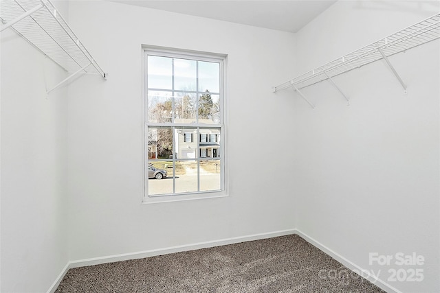 7214 Fox Point Dr, Charlotte, NC 28269 - walk in closet with dark carpet
