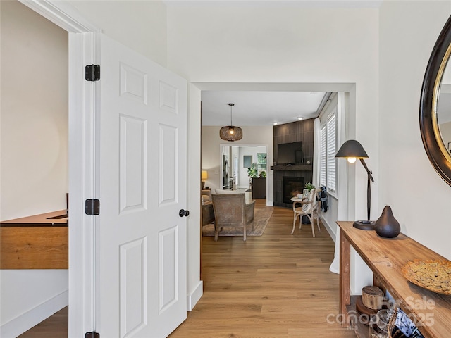 218 Water Leaf Dr, Weaverville, NC 28787 - corridor featuring light wood finished floors