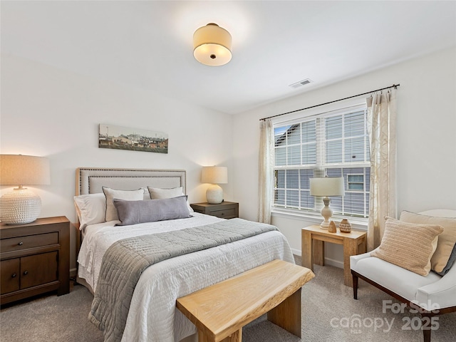 218 Water Leaf Dr, Weaverville, NC 28787 - view of carpeted bedroom