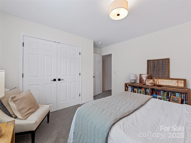218 Water Leaf Dr, Weaverville, NC 28787 - bedroom with carpet flooring and a closet