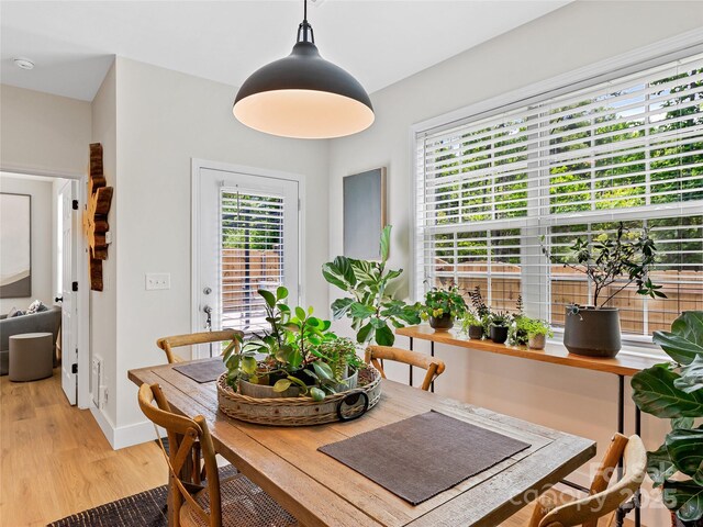 218 Water Leaf Dr, Weaverville, NC 28787 - dining space with plenty of natural light, light wood finished floors, and baseboards