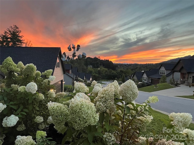 218 Water Leaf Dr, Weaverville, NC 28787 - photo 41