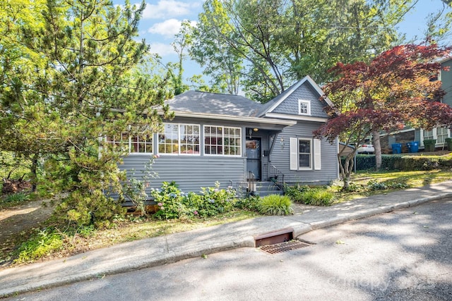 16 Blair St, Asheville, NC 28801 - photo 2