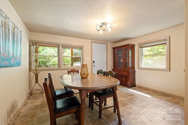 139 Ivy Ridge Church Rd, Mars Hill, NC 28754 - dining room featuring a textured ceiling