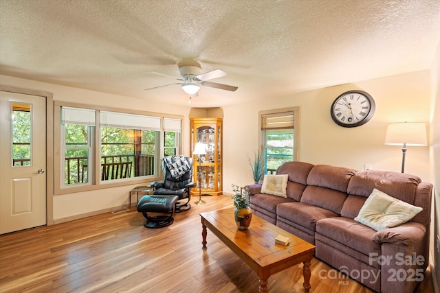 139 Ivy Ridge Church Rd, Mars Hill, NC 28754 - living area with a textured ceiling, healthy amount of natural light, wood finished floors, and ceiling fan