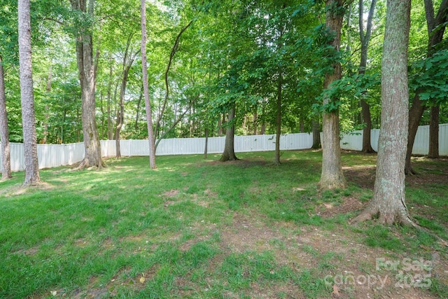2908 Barnard Castle Ln, Matthews, NC 28104 - view of yard