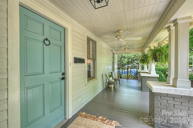 1417 The Plz, Charlotte, NC 28205 - property entrance with covered porch and ceiling fan