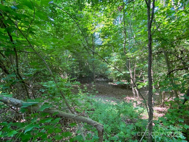 4812 Beulah Church Rd, Matthews, NC 28104 - photo 4