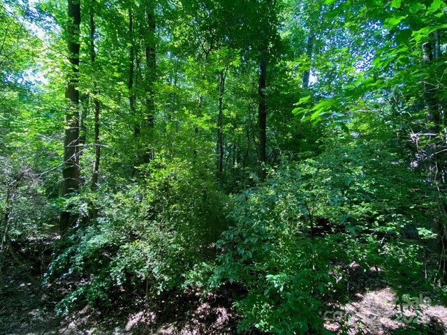 4812 Beulah Church Rd, Matthews, NC 28104 - photo 5
