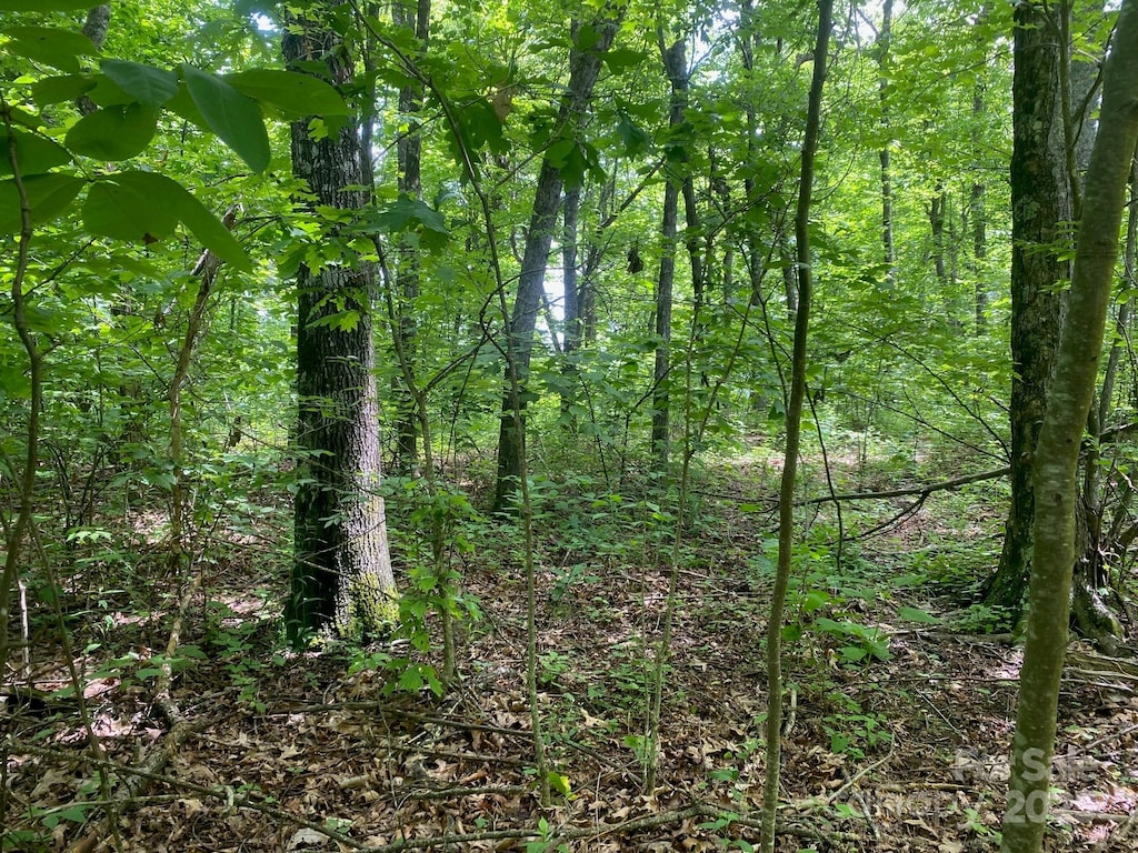 129 High Cliffs Trl, Black Mountain, NC 28711