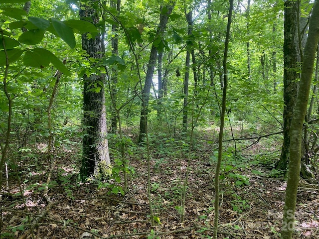 129 High Cliffs Trl, Black Mountain, NC 28711