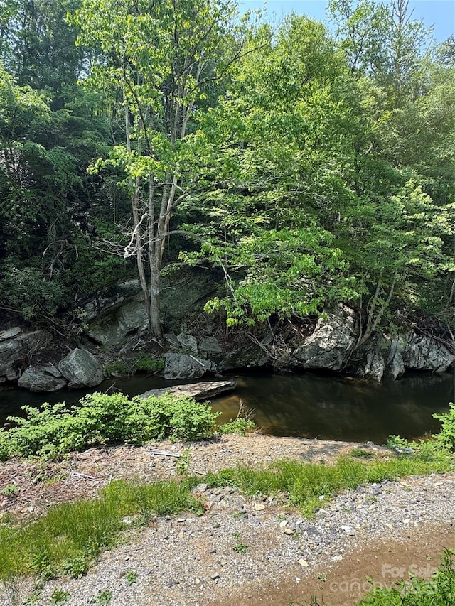 232 Cole Hollow Rd, Newland, NC 28657 - view of undeveloped land