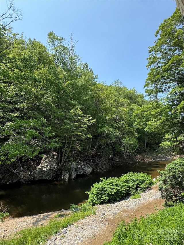 232 Cole Hollow Rd, Newland, NC 28657 - view of yard