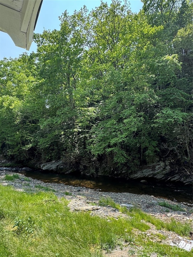 232 Cole Hollow Rd, Newland, NC 28657 - view of yard