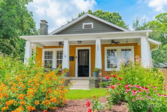 904 Anderson St, Charlotte, NC 28205 - photo 2