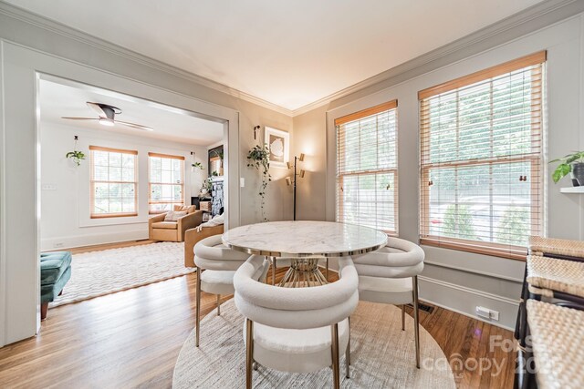 904 Anderson St, Charlotte, NC 28205 - photo 9