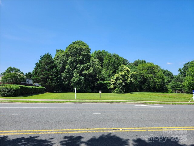 4309 Wilgrove Mint Hill Rd, Mint Hill, NC 28227 - photo 3