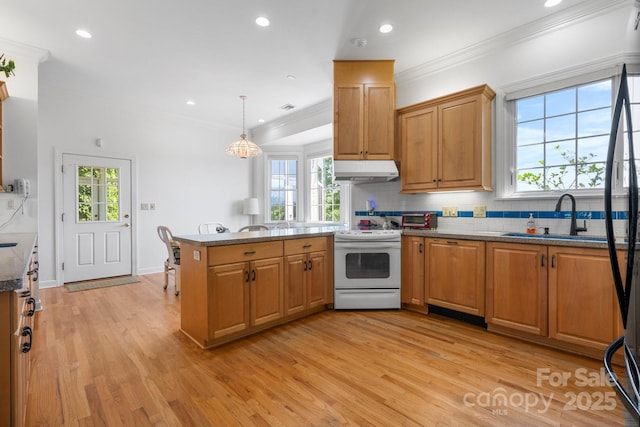3541 Blankenship Dr, Morganton, NC 28655 - kitchen featuring under cabinet range hood, white electric stove, light wood-style flooring, a peninsula, and crown molding