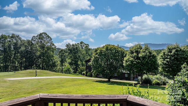 3541 Blankenship Dr, Morganton, NC 28655 - view of green lawn